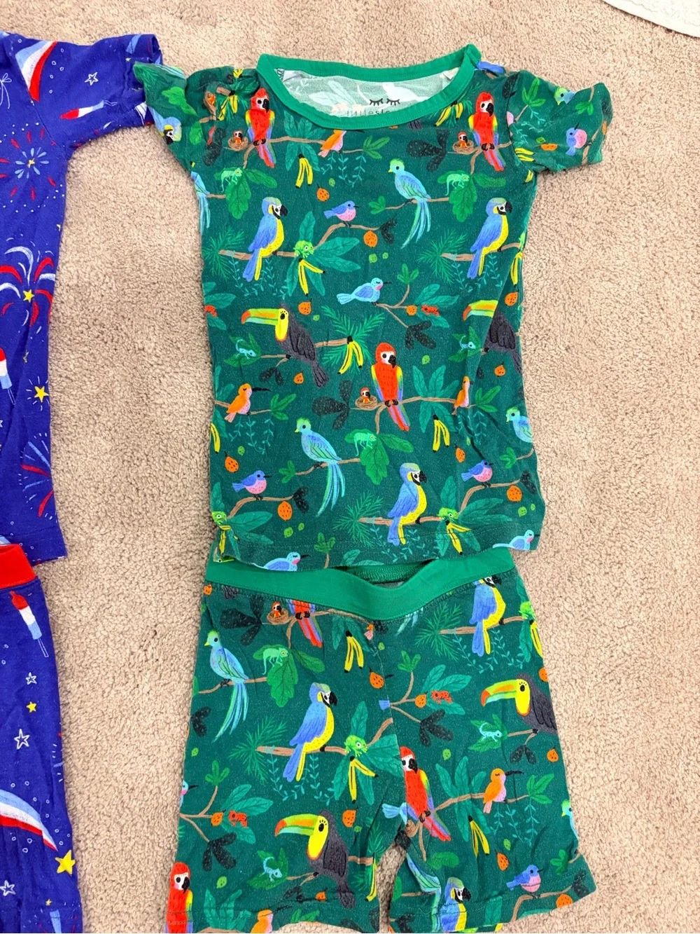 Little Sleepies 2 pc short set